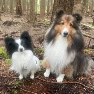 Meet your Posher, Betty